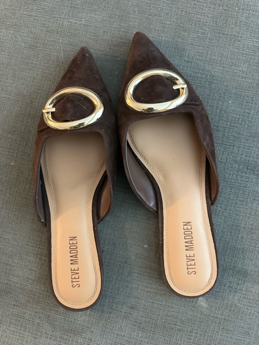 Steve Madden Dark Brown Suede Pointed Toe Mules with Gold Oval Accent